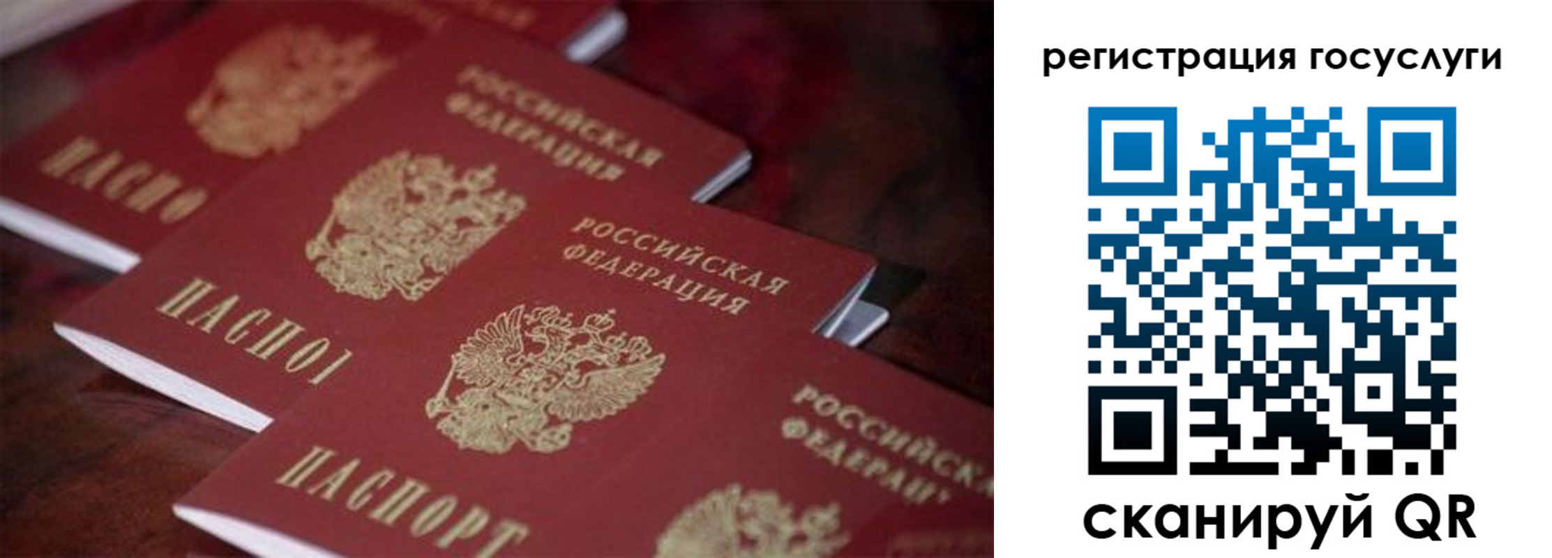 где прописаться в Вязниках